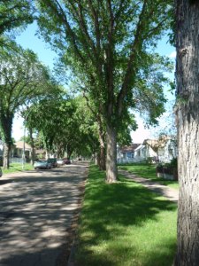 P1020133 (1) (1)