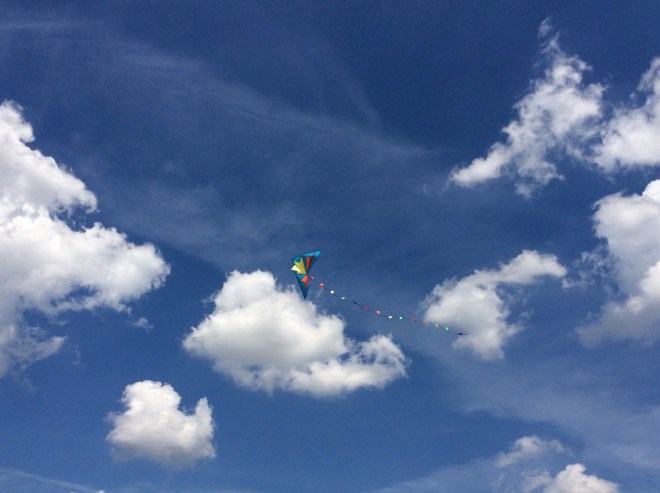 Sky View 