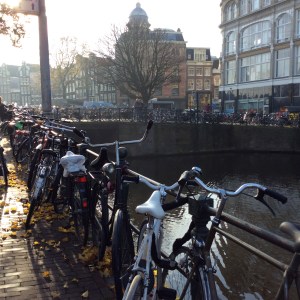 Bicycles in Amsterdam 