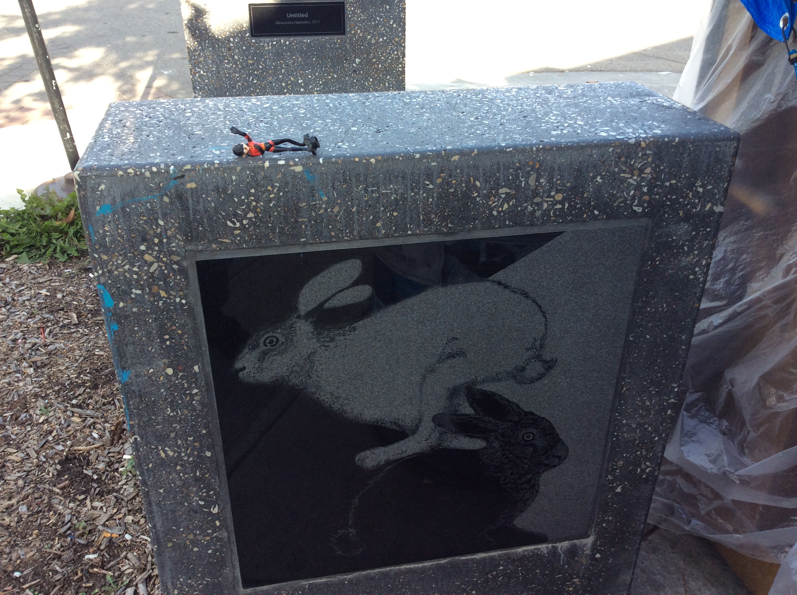 rabbit stay
